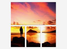 canvas photo prints - (1) 40" x 20" & (3) 12" x 18"