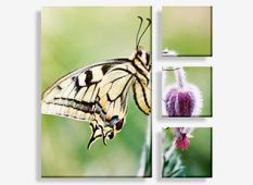 canvas photo prints - (1) 30" x 40" & (3) 12" x 12"