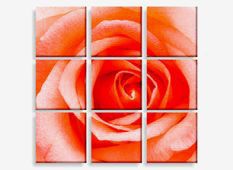 canvas photo prints - (9) 12" x 12"