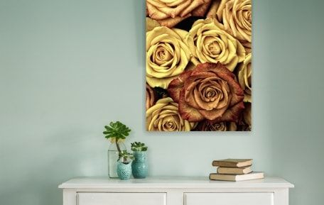 Canvas Prints NZ | Canvas Photo Prints And And Photo Gifts - Canvas Factory